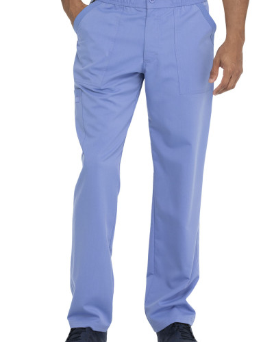 Dickies bikses DK220