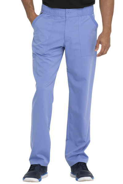 Dickies bikses DK220