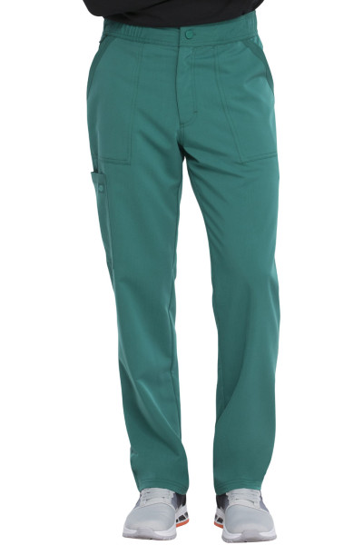 Dickies bikses DK220