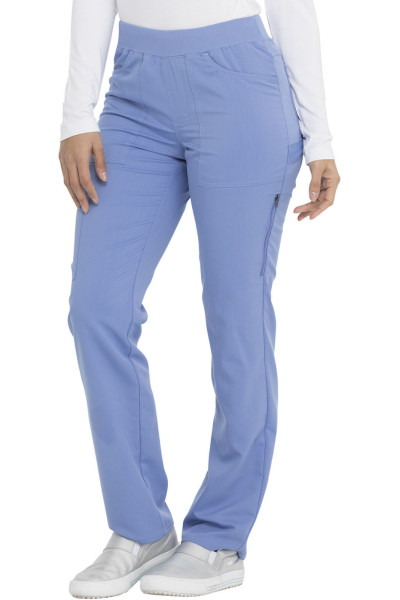 Dickies bikses DK135