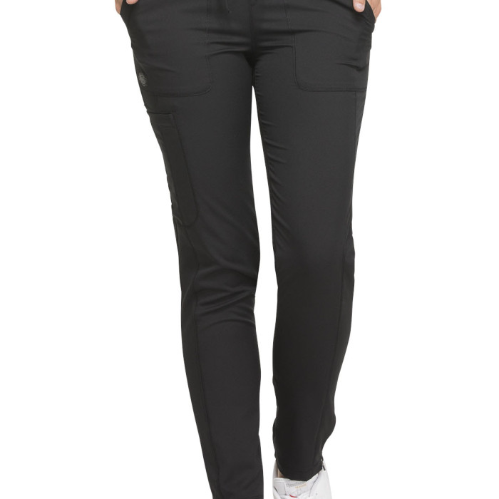 Dickies bikses DK190