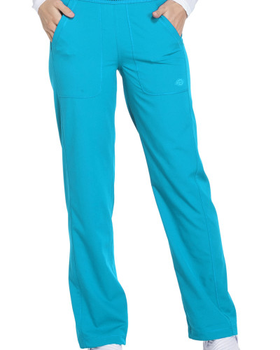 Dickies bikses DK120