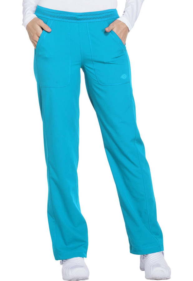 Dickies bikses DK120