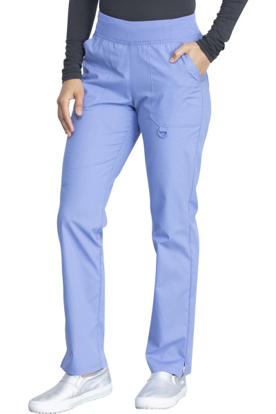 Dickies bikses DKE125