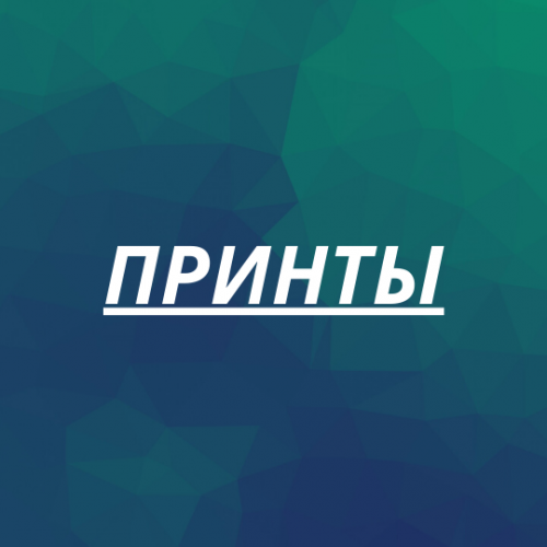 Рубашки с принтом